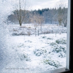 Mróz rysuje historie w...